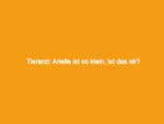 Tierarzt: Arielle Ist So Klein, Ist Das Ok?