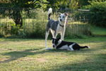 Elli und lykke